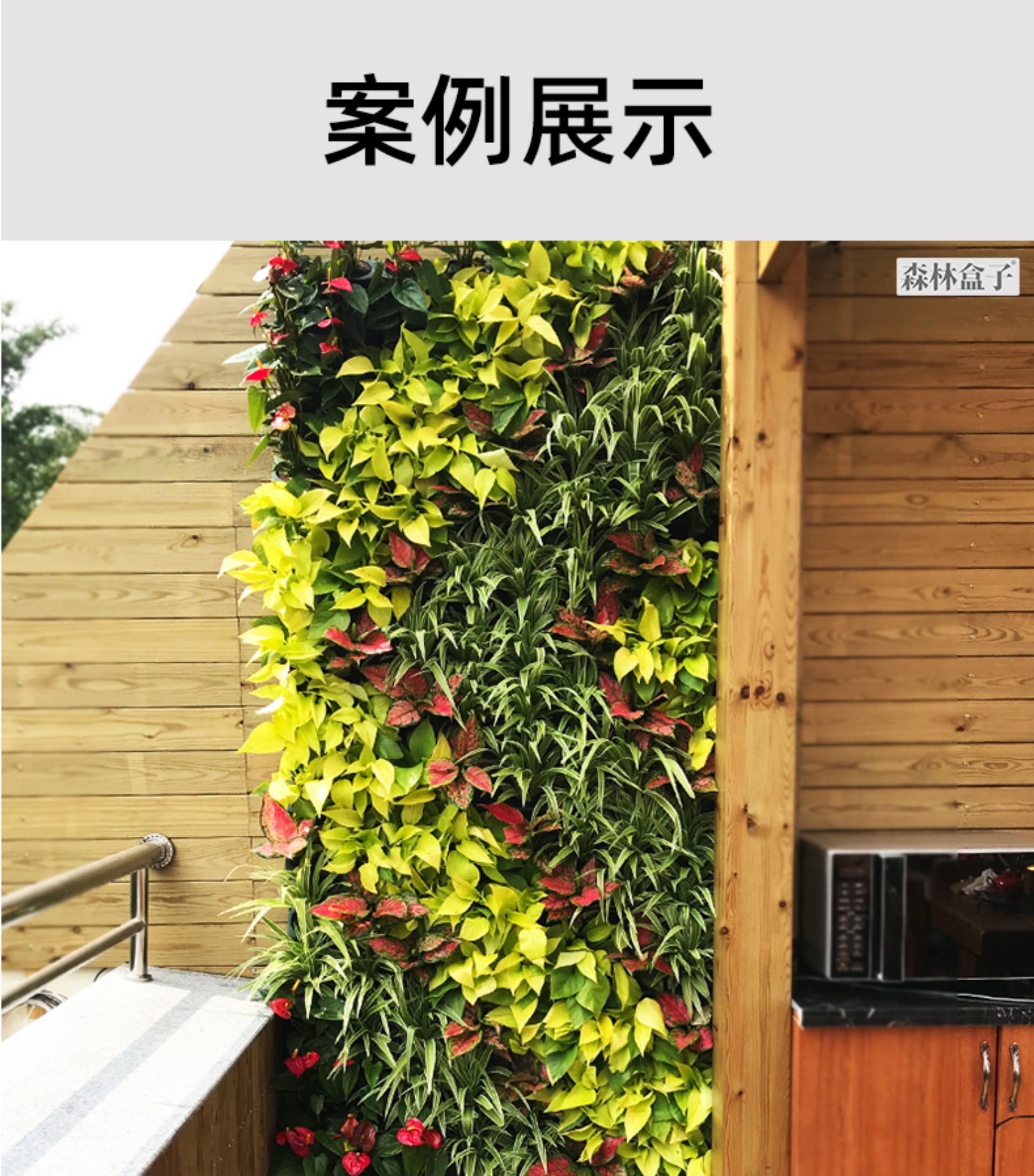 Complete Automatic Drip Irrigation & Watering Timer Kit for Plant Wall Pots - Balcony Garden Smart Irrigation Watering System(图17)