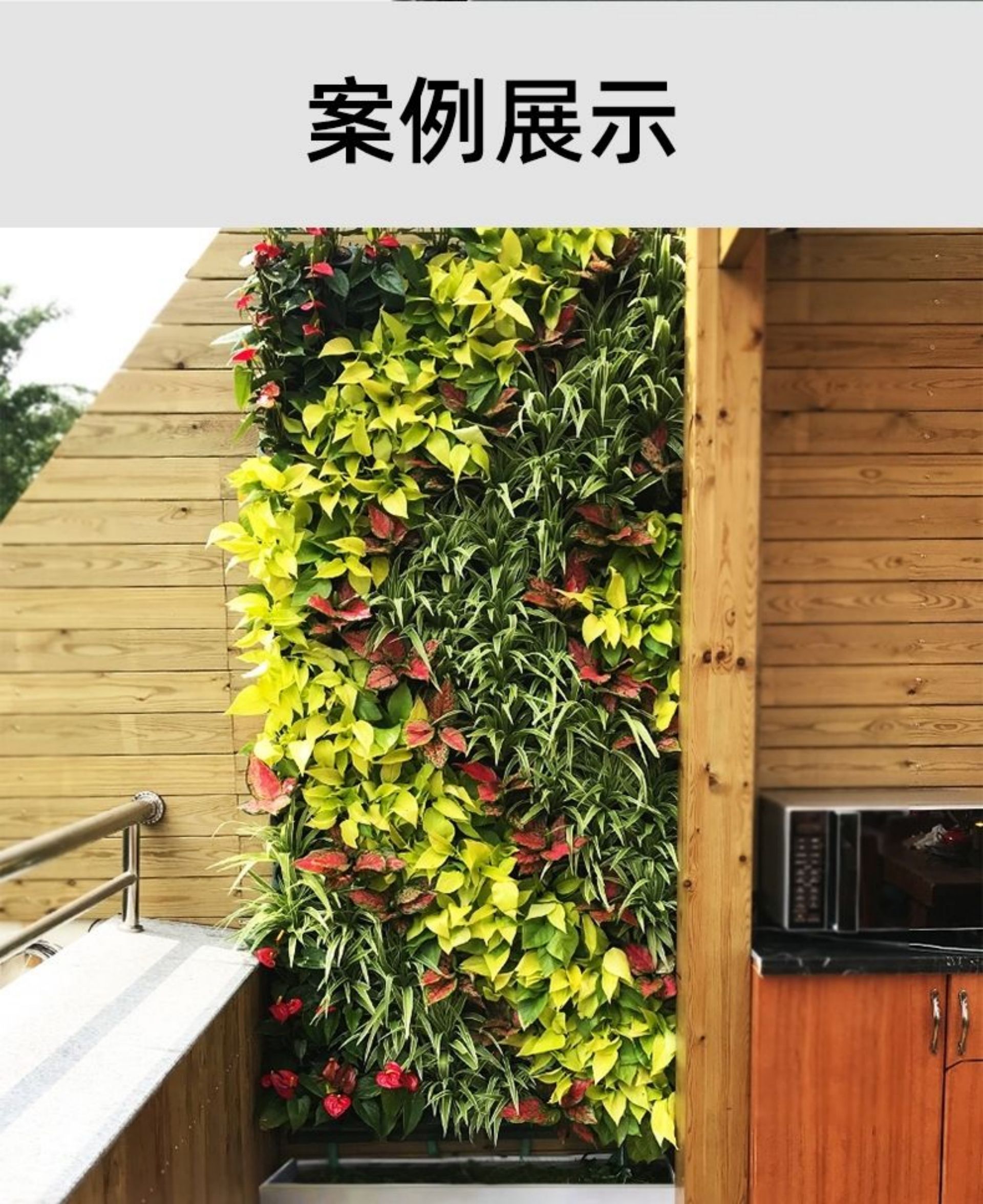Bulk Plant Wall Pot Automatic Drip Irrigation Kit - Garden Timer, Balcony Garden Smart Irrigation Watering System(图15)