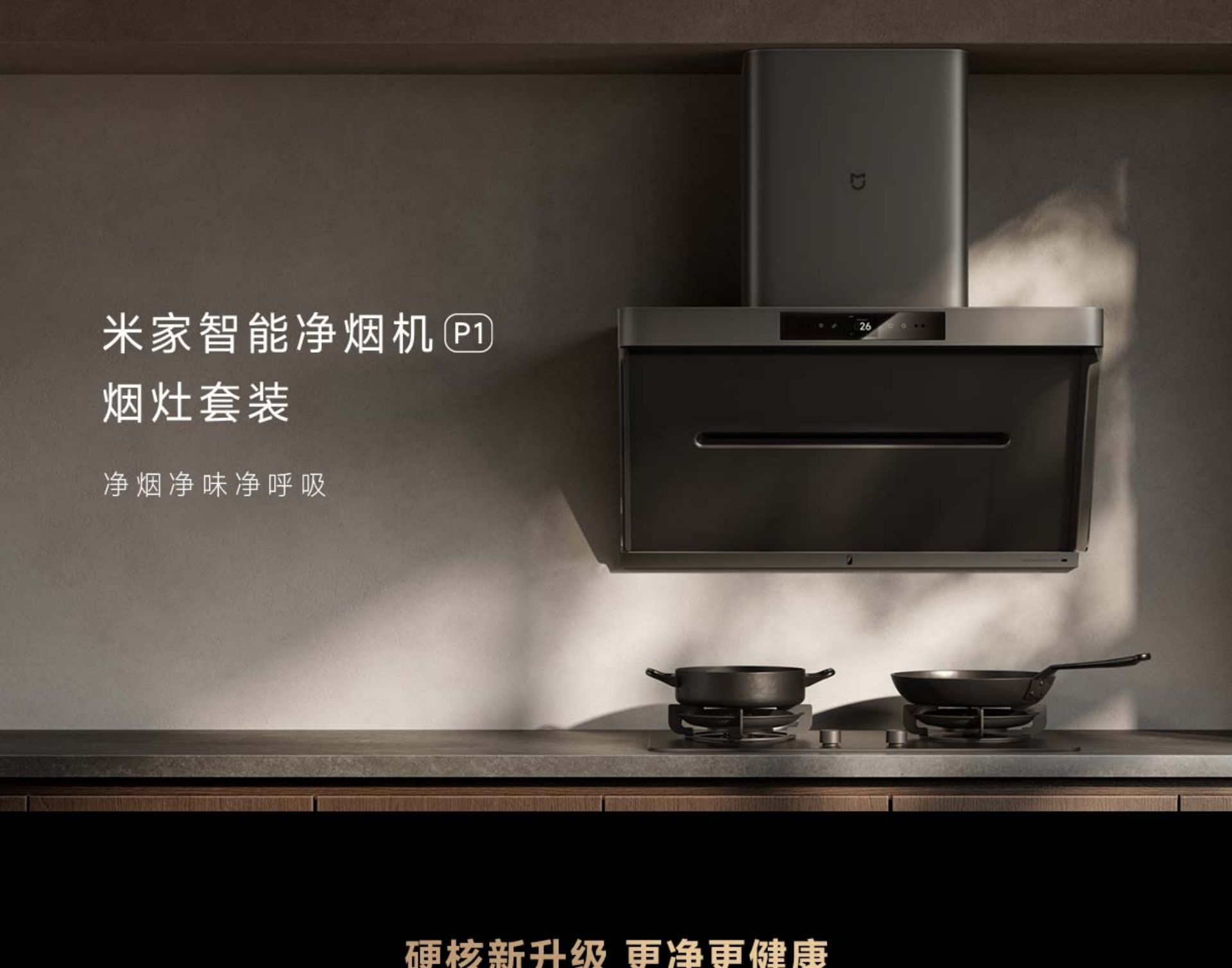 Mijia Smart Smoke Purifier P1 Cooker Hood & Gas Stove Set (LPG Version)(图1)
