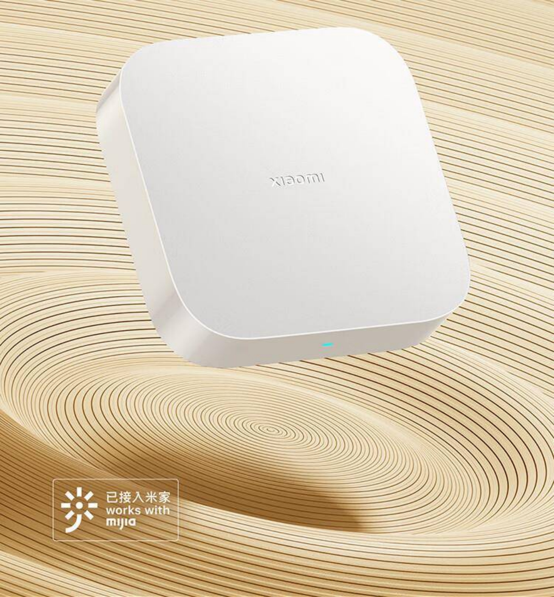 Central Gateway (Standard Version)(图2)