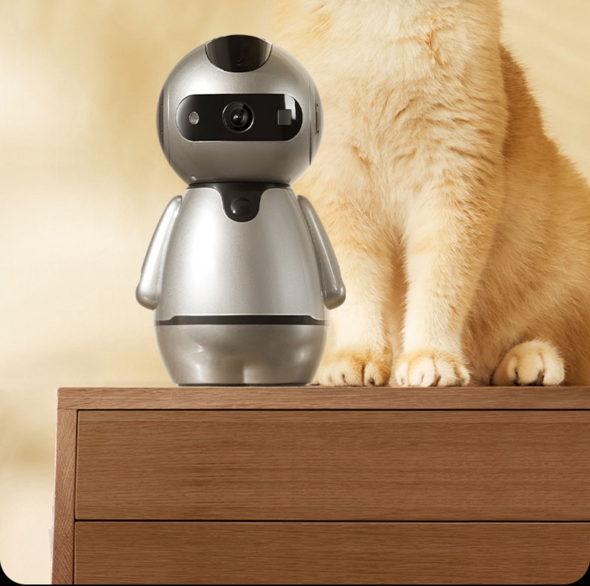 E1 Pet Camera: Wireless Home Indoor Surveillance(图2)