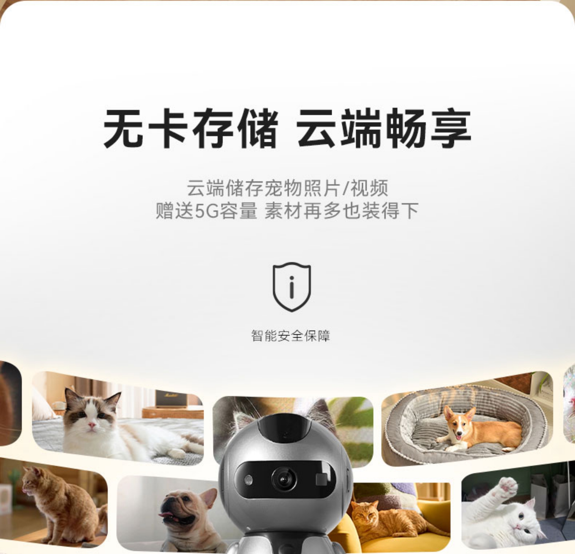 E1 Pet Camera: Wireless Home Indoor Surveillance(图11)