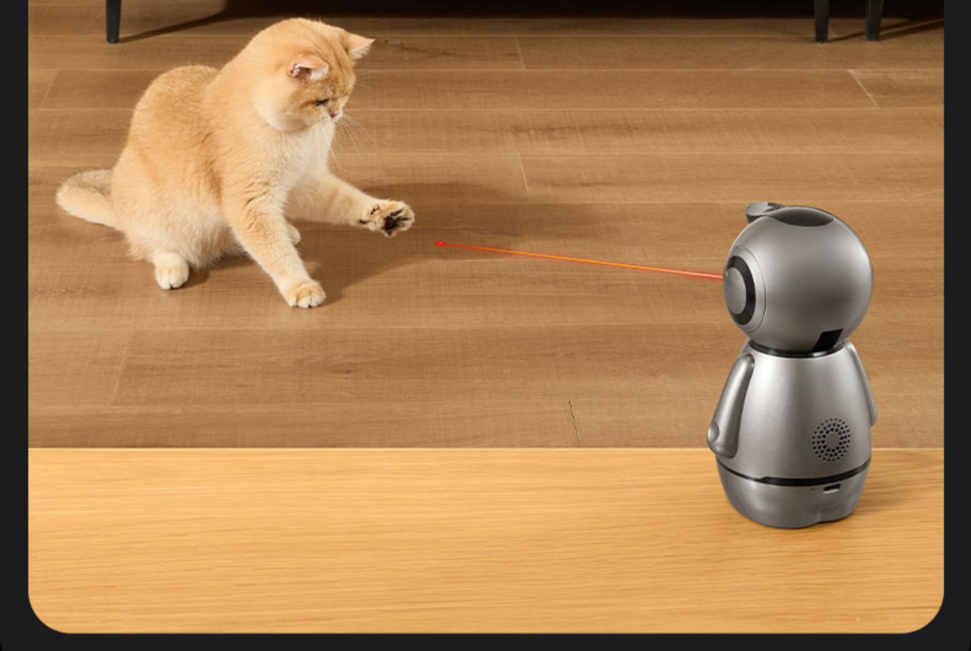 E1 Pet Camera: Wireless Home Indoor Surveillance(图16)