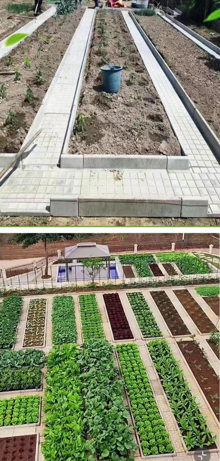 Finished Vegetable Plot Gully Cover - 1(图2)