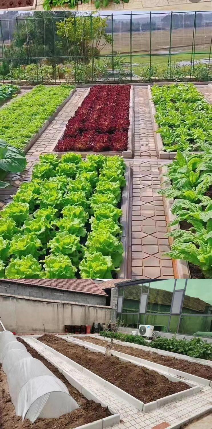 Finished Vegetable Plot Gully Cover - 1(图3)