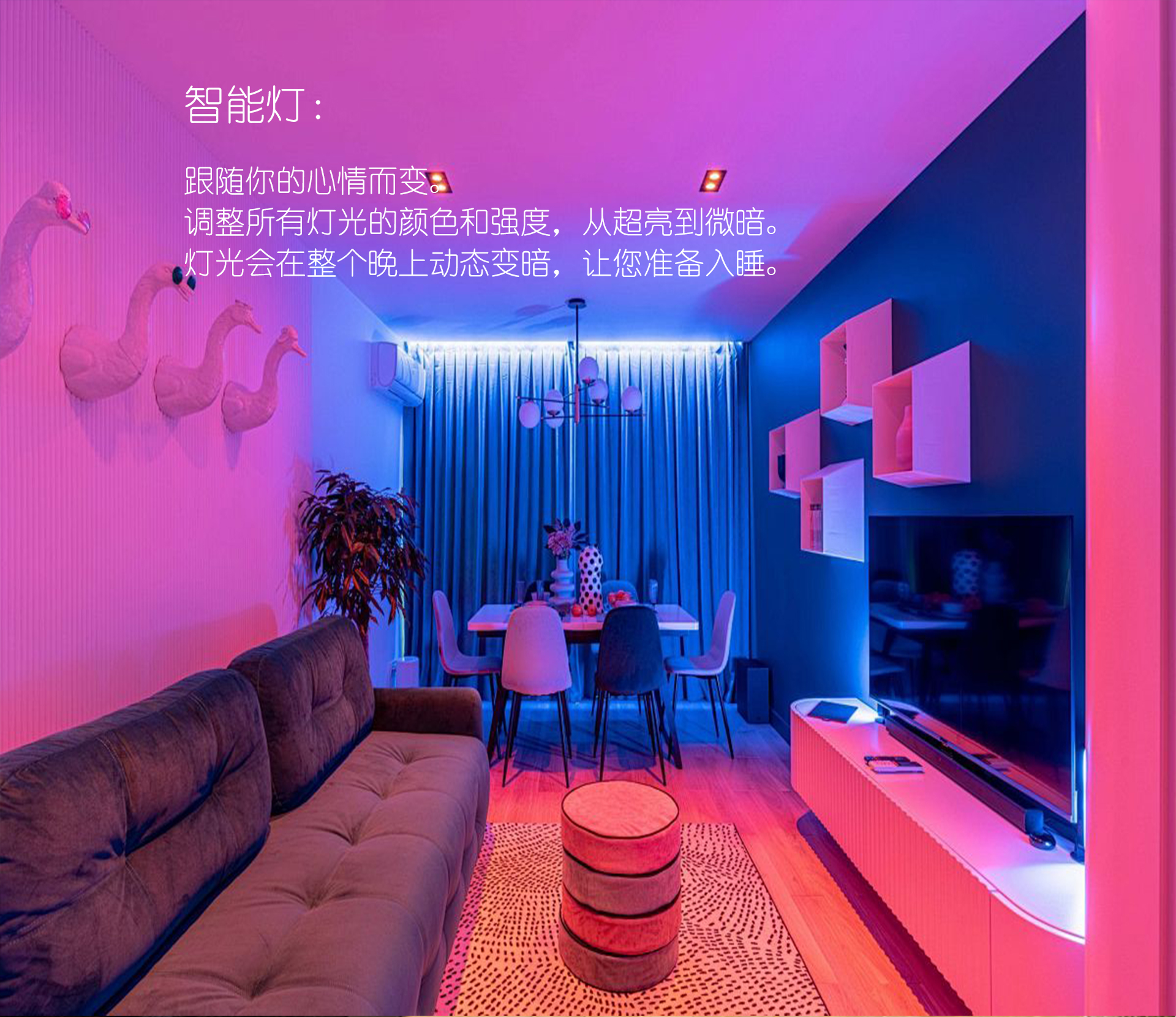 Smart Light(图1)